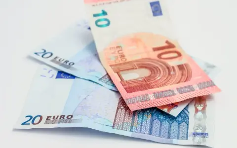 Euro banknoty 10 i 20. Zastanawiasz się, ile wynosi socjal w Niemczech?