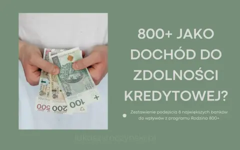 Czy 800+ wlicza się do dochodu przy zdolności kredytowej? Ręce trzymają polskie banknoty 100, 200 i 500 zł.