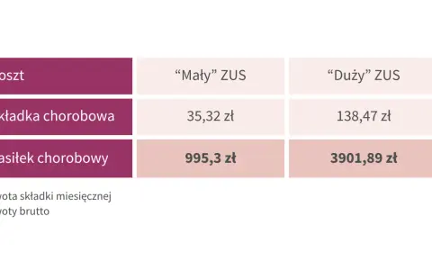 Porównanie kosztów: składka chorobowa i zasiłek chorobowy dla "Małego" i "Dużego" ZUS. Dobrowolny ZUS to opcja dla przedsiębiorców.