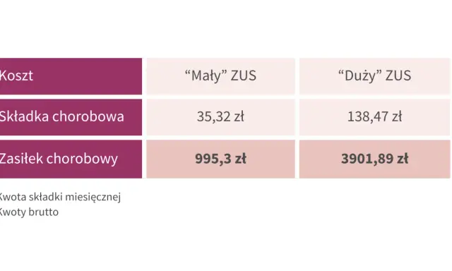 Porównanie kosztów: składka chorobowa i zasiłek chorobowy dla "Małego" i "Dużego" ZUS. Dobrowolny ZUS to opcja dla przedsiębiorców.